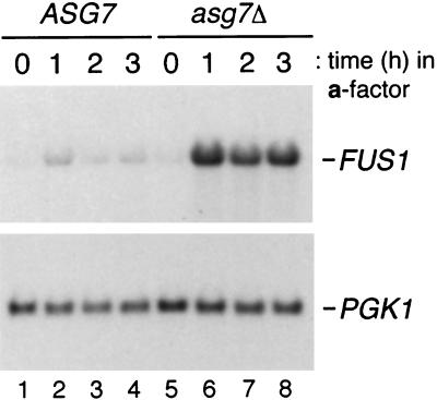 FIG. 6