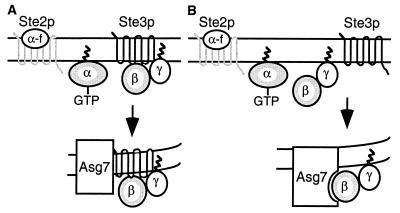 FIG. 9