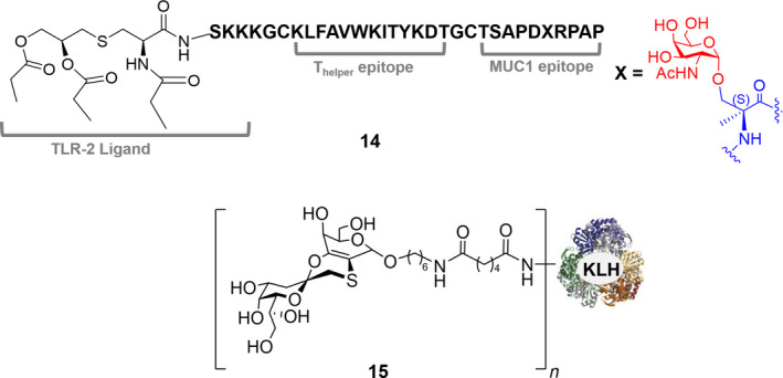 Fig. 13