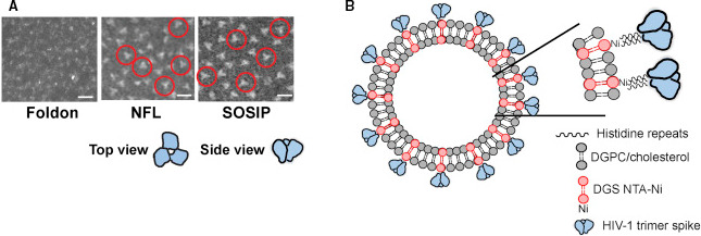 Fig. 9