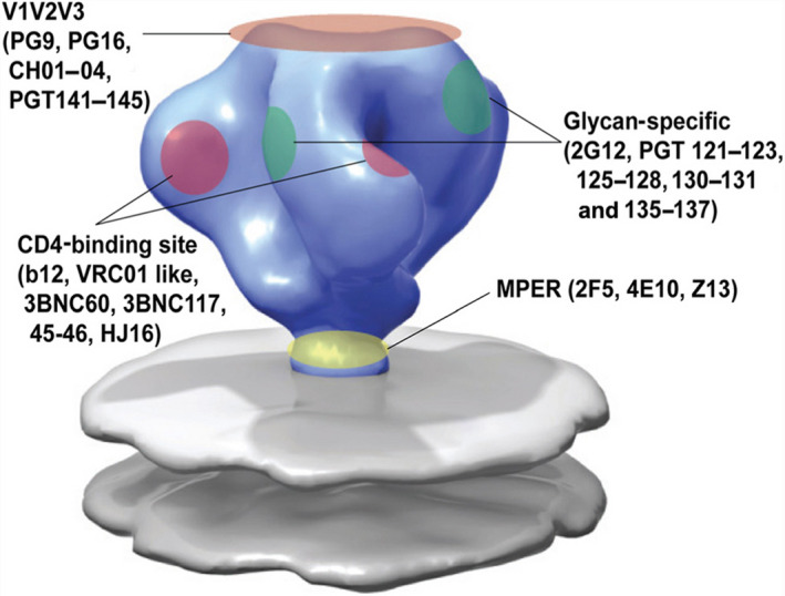 Fig. 7