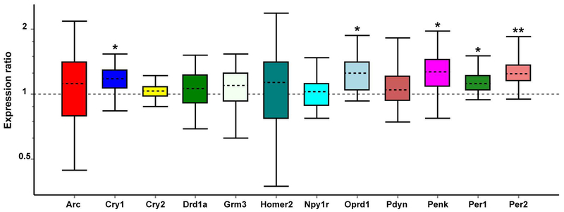 Figure 7: