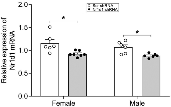 Figure 1: