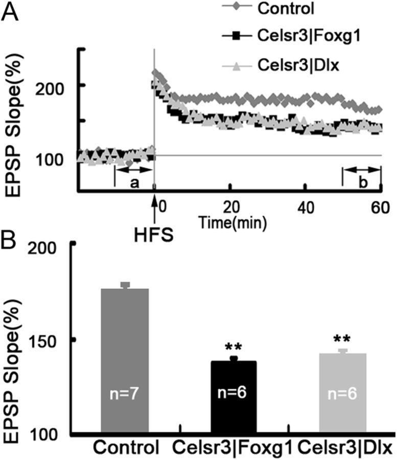 Figure 10.