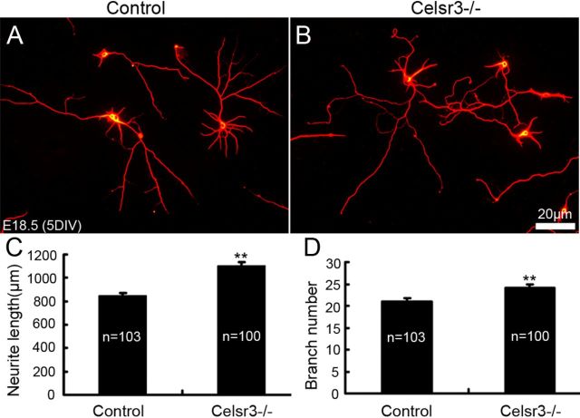 Figure 11.