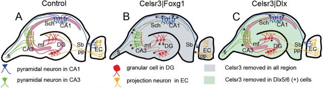 Figure 14.