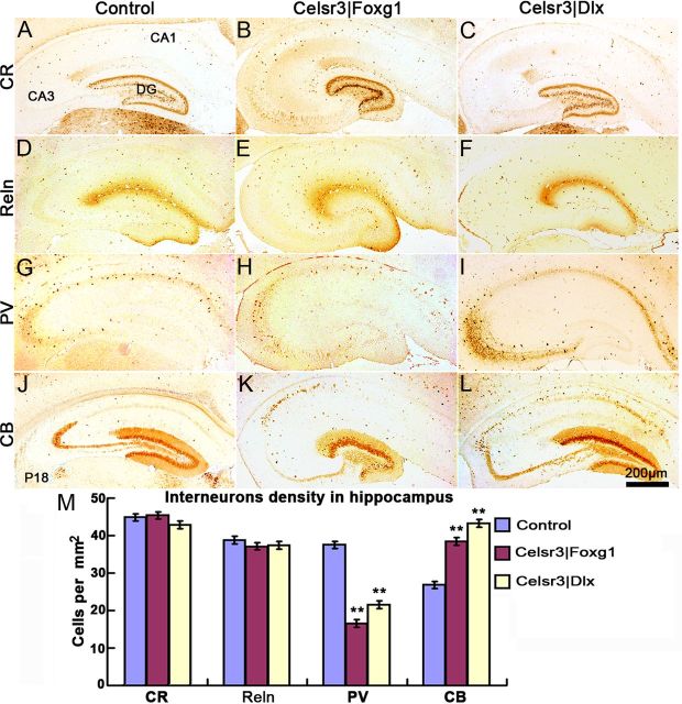 Figure 12.