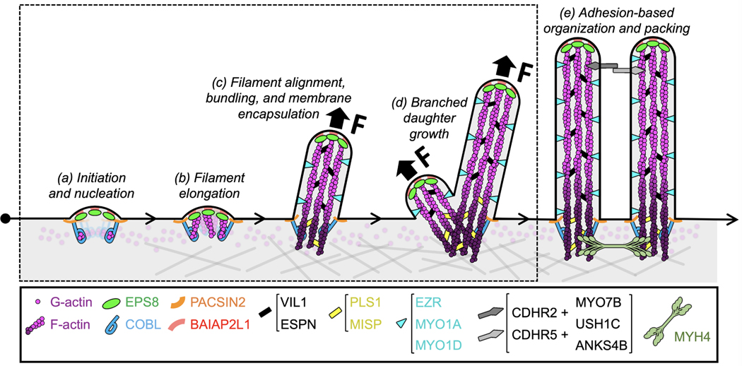 Figure 1 -