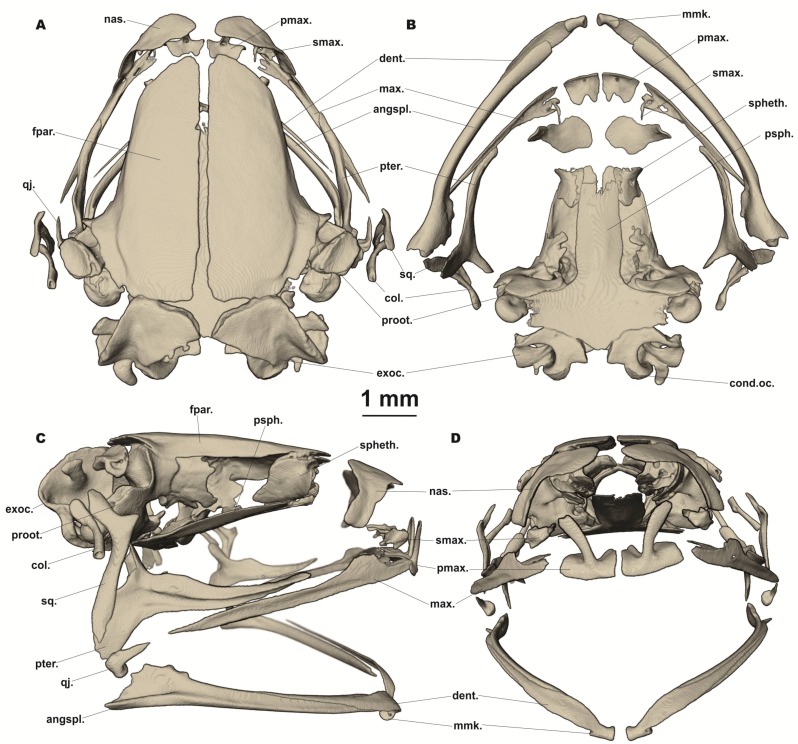 Figure 4