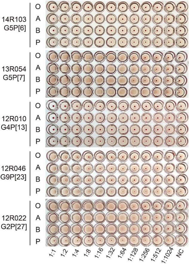 FIGURE 3