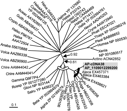 Fig. 4.