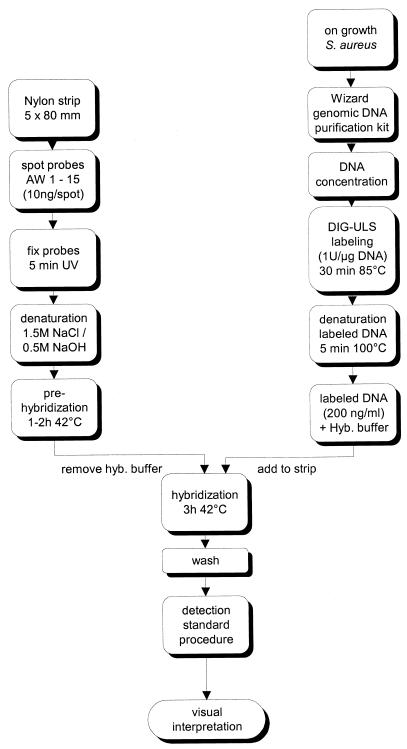 FIG. 1