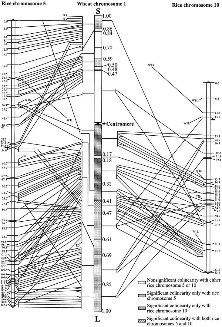 Figure 2.—