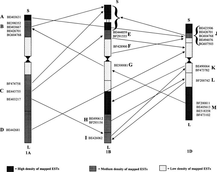 Figure 3.—