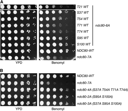 Figure 2.—