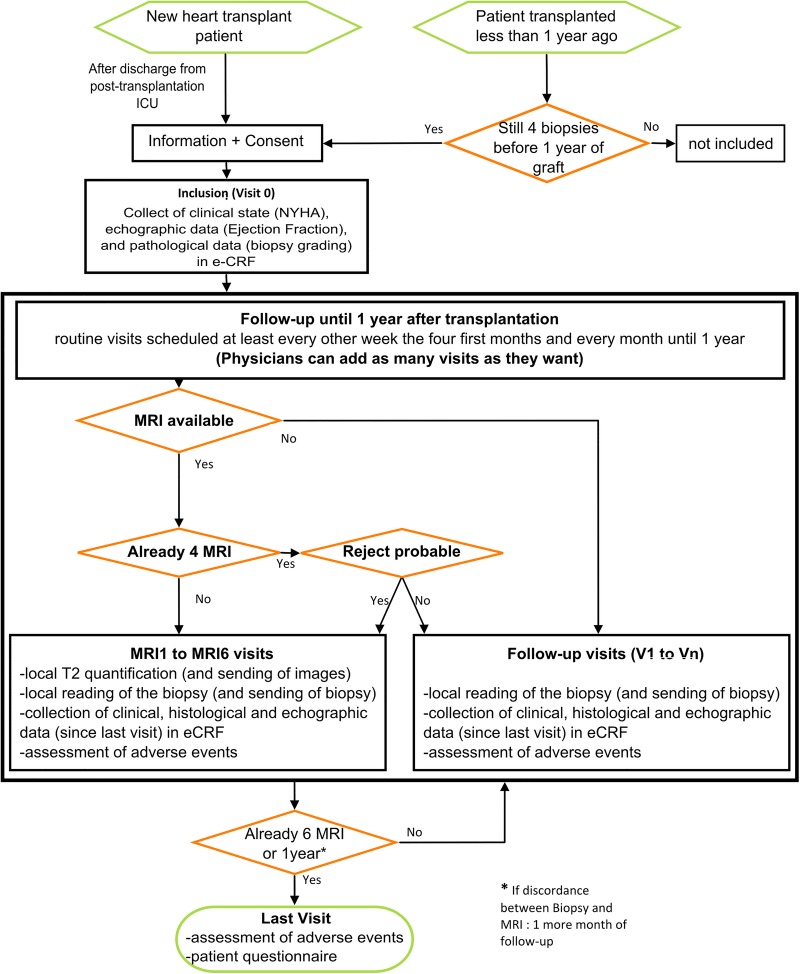 Figure 1