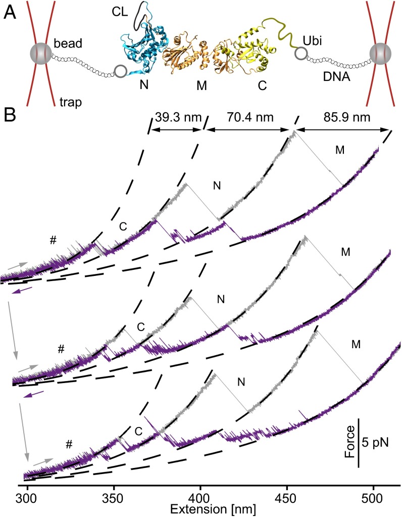 Fig. 1.