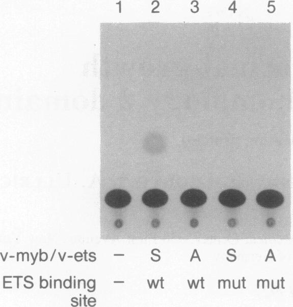 graphic file with name pnas01093-0045-a.jpg