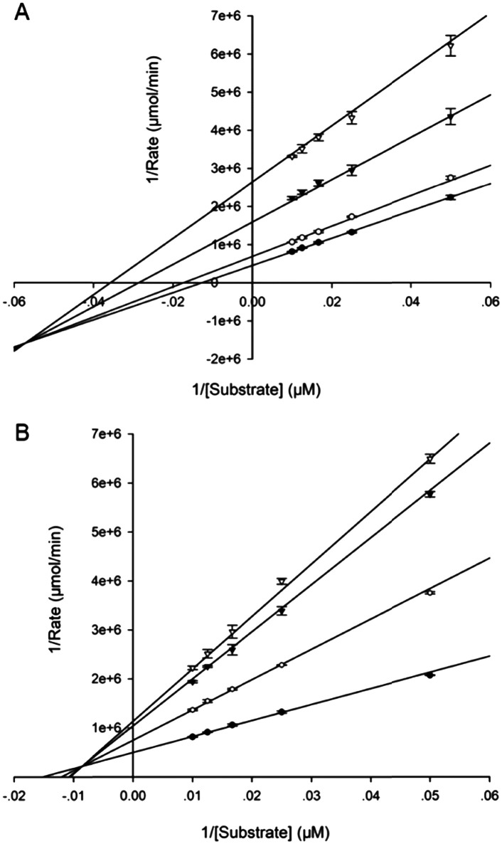 Fig. 5