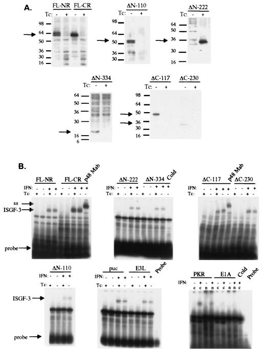 FIG. 1