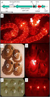 Fig. 2.