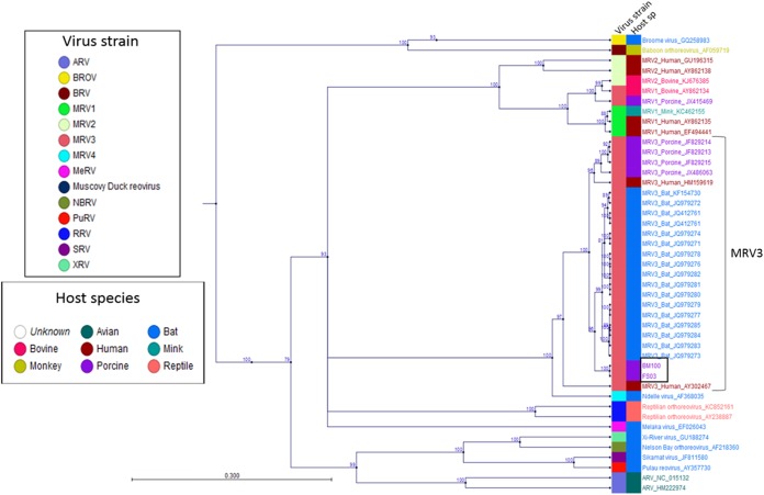 FIG 3 