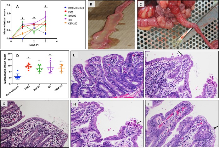 FIG 6 