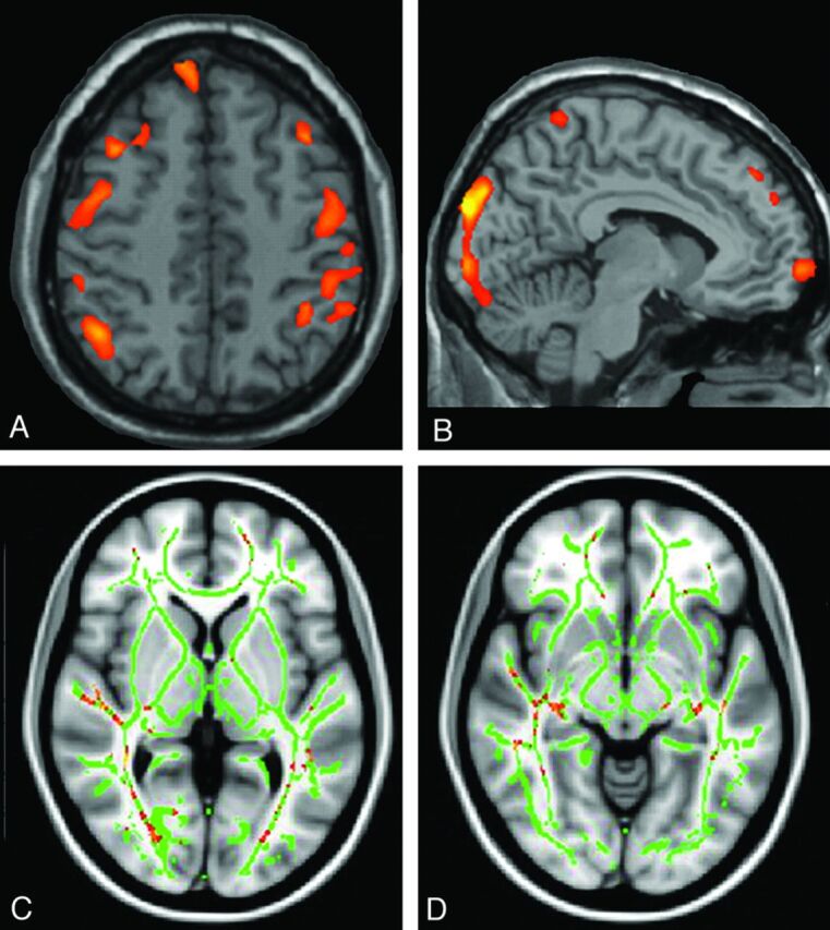 Fig 6.