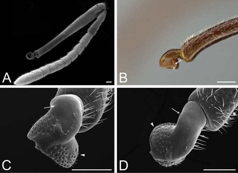 Figure 54.
