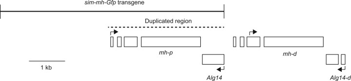 Fig. 1.