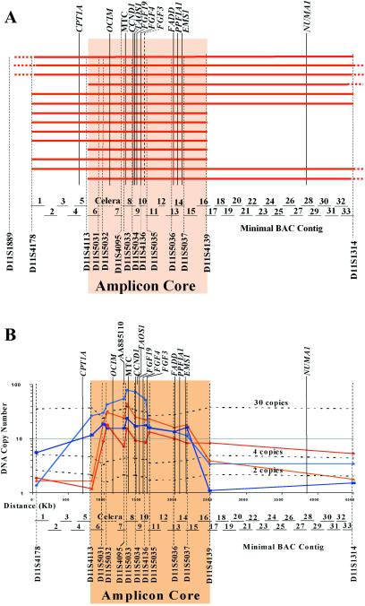 Fig 1.