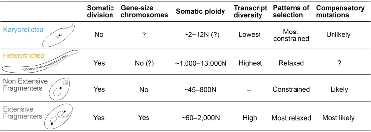 FIG 4