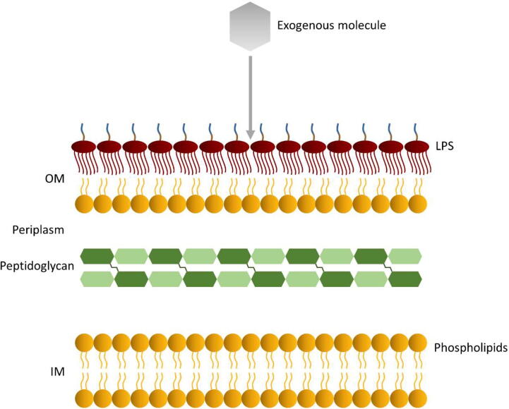 Fig. 2