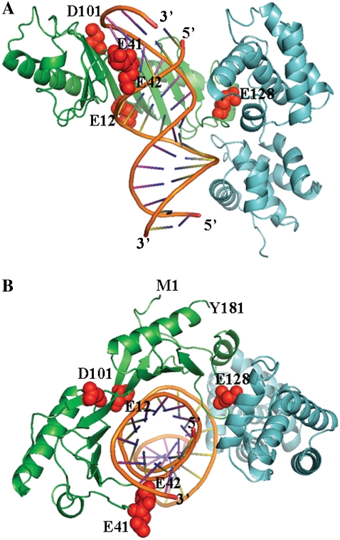 FIGURE 1