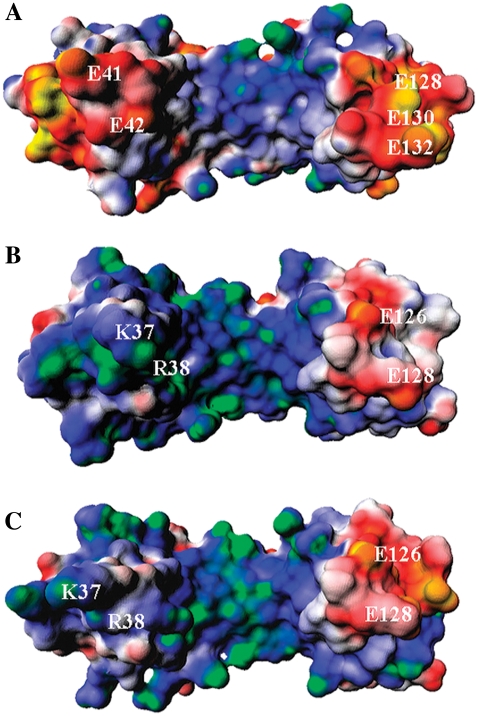 FIGURE 3