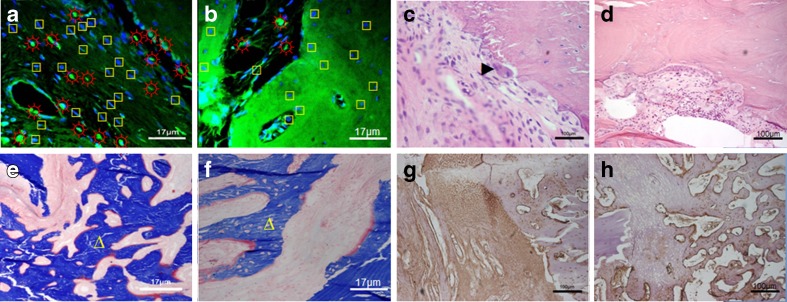 Fig. 8