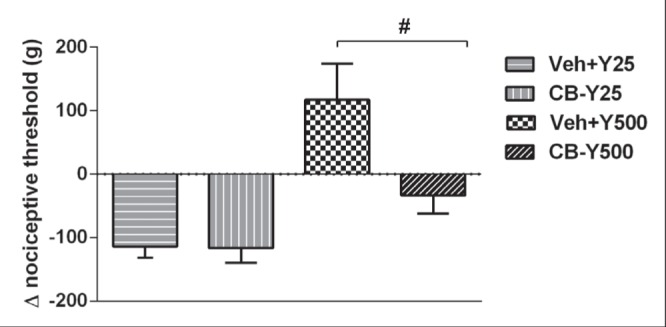 Figure 5)