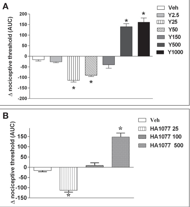 Dual effects of Rho-kinase inhibitors on a rat model of inflammatory ...