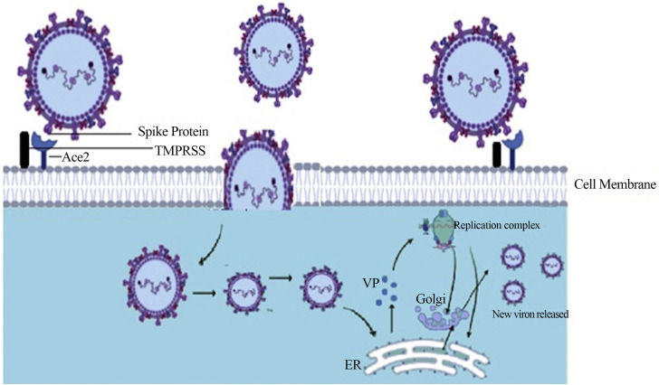 Figure 2