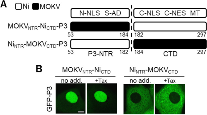 FIG 4