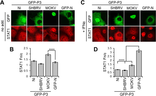 FIG 6