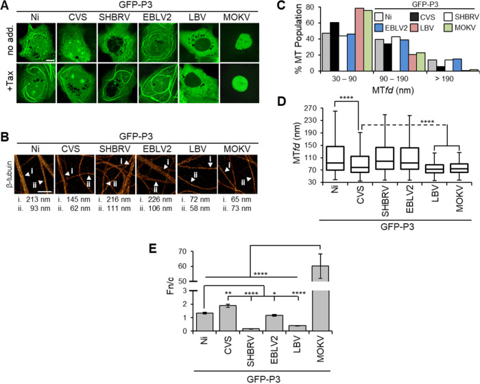 FIG 3