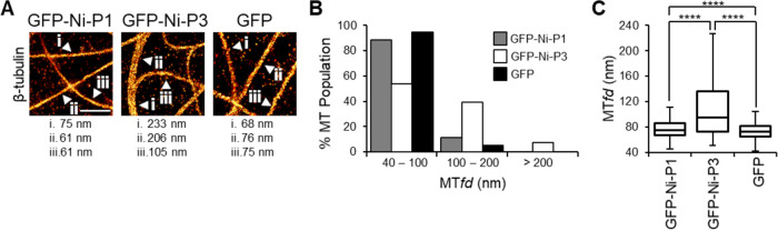 FIG 2