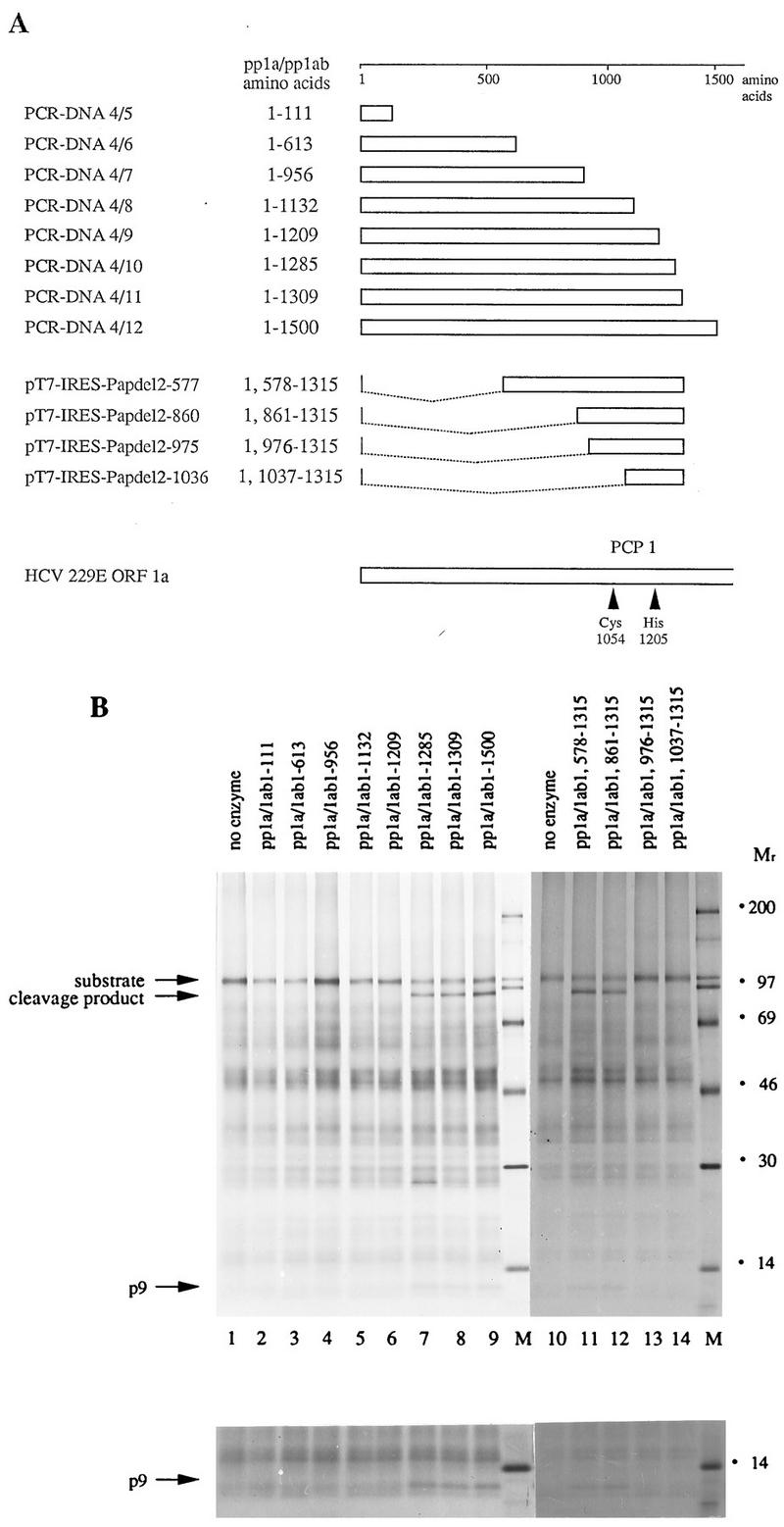 FIG. 5