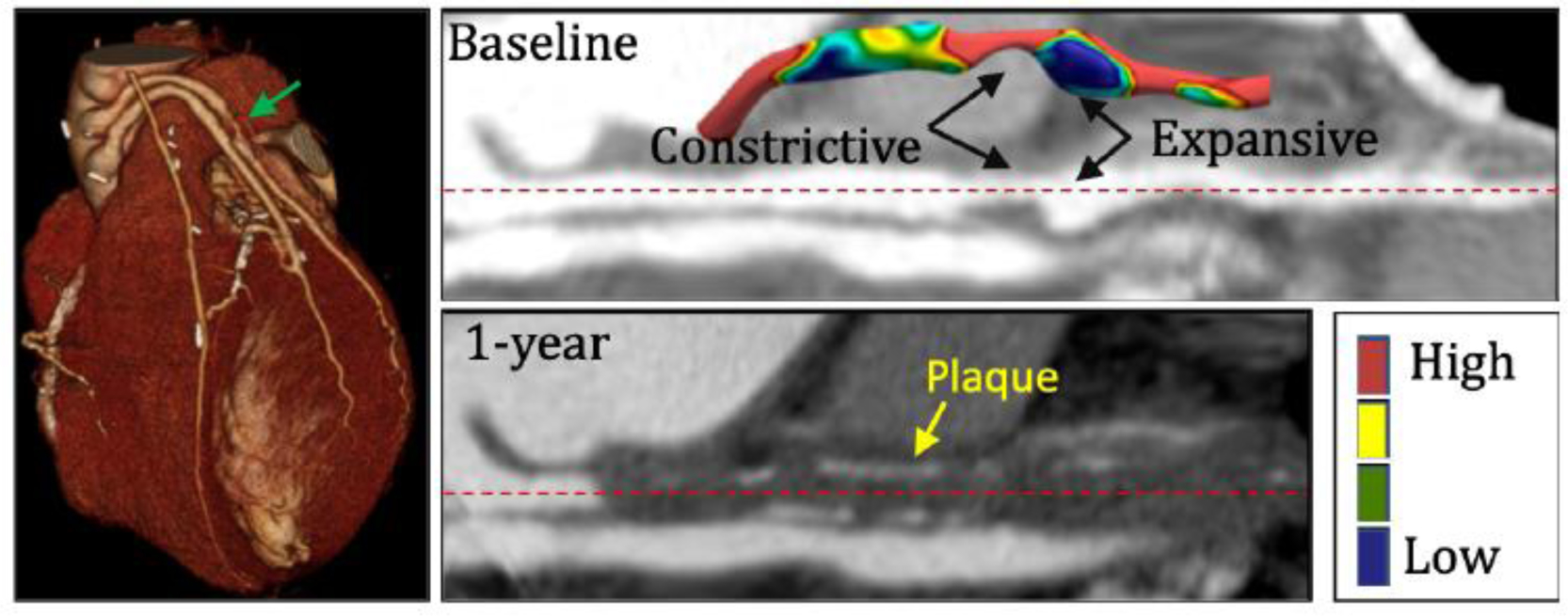 Fig 6: