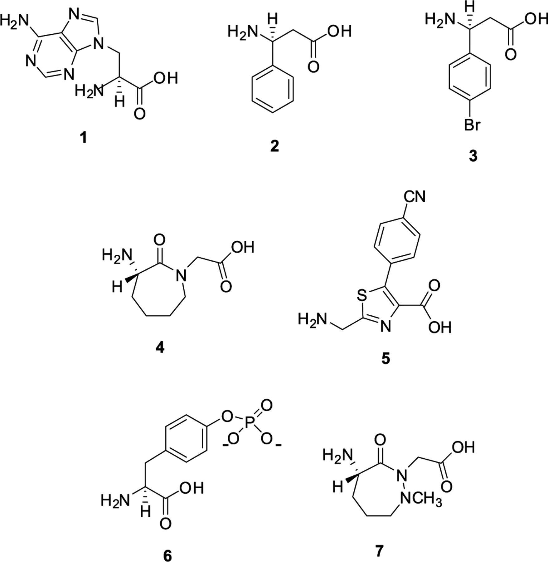 Figure 6.