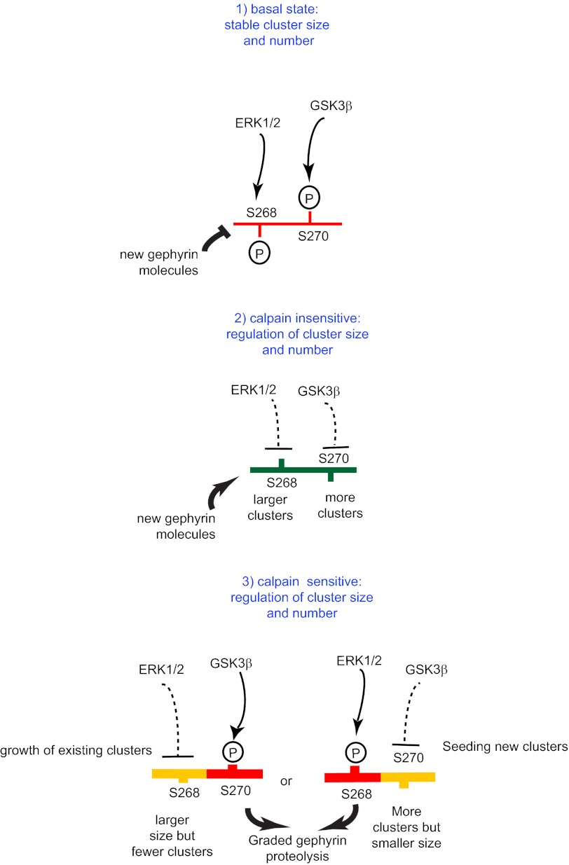 FIGURE 9.