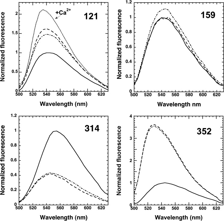 FIGURE 3.