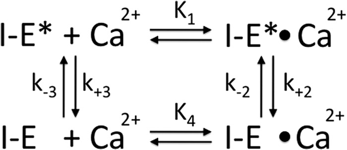 SCHEME 2.