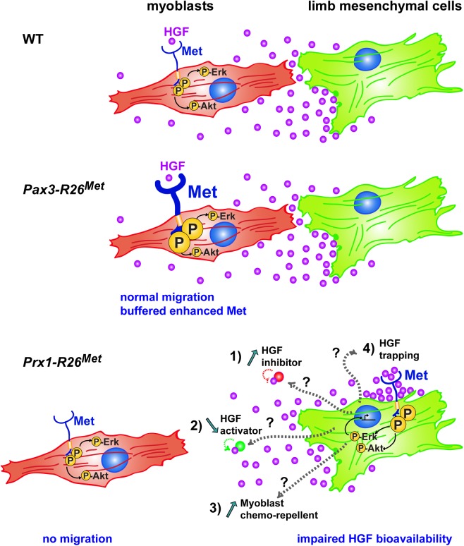 Fig 10